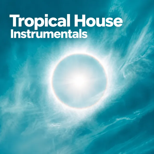 Cover of the playlist Tropical House Instrumentals